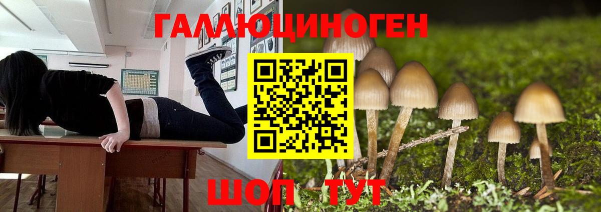 Галлюциногенные грибы Psilocybine cubensis  Вход с VPN  Шали 